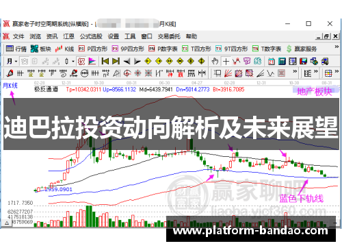 迪巴拉投资动向解析及未来展望