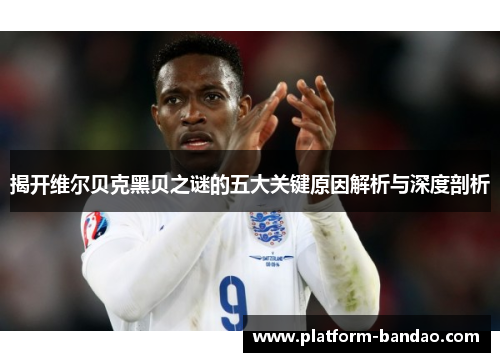 揭开维尔贝克黑贝之谜的五大关键原因解析与深度剖析